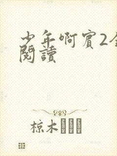 少年啊宾2全文阅读