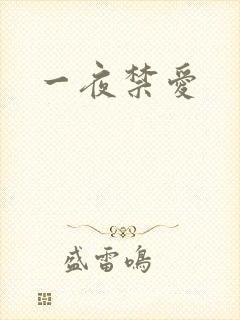 一夜禁爱