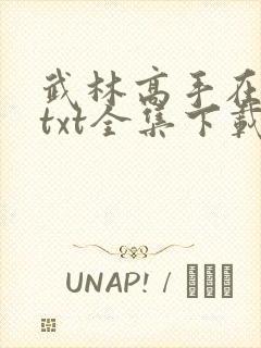 武林高手在校园txt全集下载