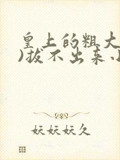 皇上的粗大(h)拔不出来小说
