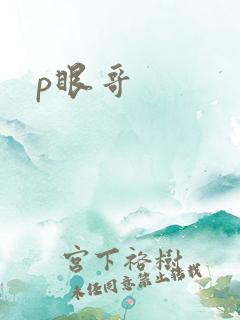 p眼哥