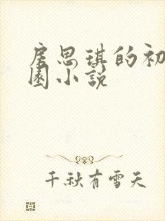 房思琪的初恋乐园小说