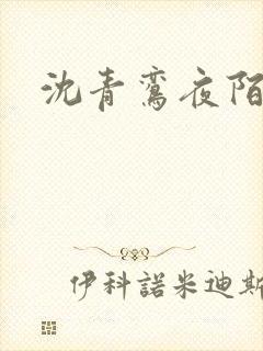 沈青鸾夜陌凌