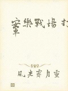 安乐战场 打真军