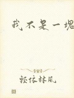 我不是一块石头