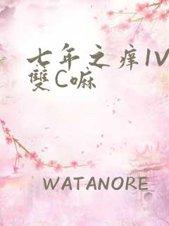 七年之痒1V2双C嘛