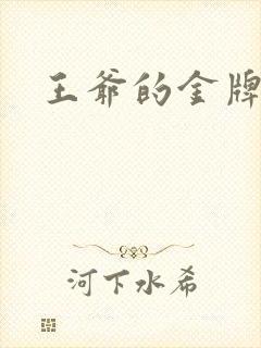 王爷的金牌暗卫