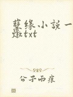 孽缘小说一家乱炖txt