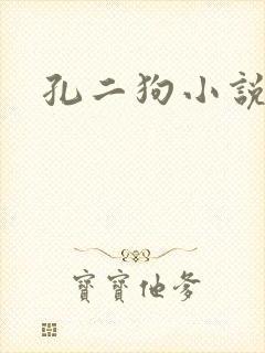 孔二狗小说