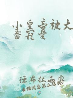 小皇帝被大臣轮番宠爱