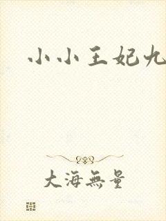 小小王妃九岁半