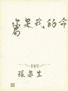 你是我的命运结局