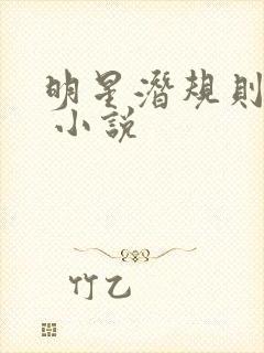 明星潜规则之皇 小说