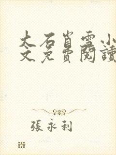 大石肖雪小说全文免费阅读