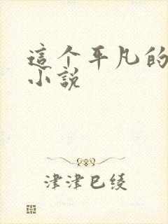 这个平凡的男子小说