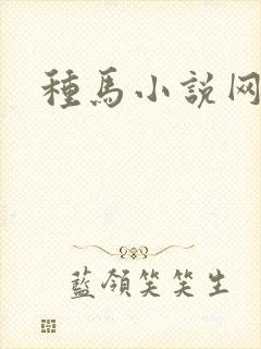 种马小说网