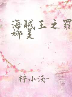 海贼王之罗宾h娜美