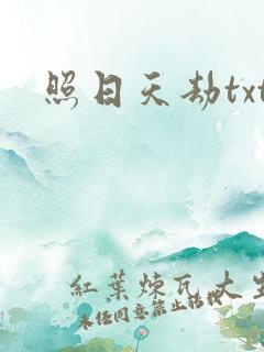 照日天劫txt