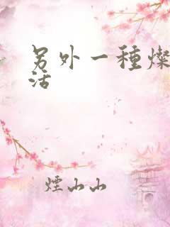 另外一种灿烂生活