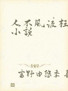 人不风流枉少年小说