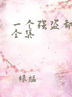 一个强盗都不留全集