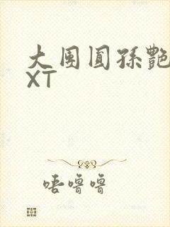 大团圆孙艳梅TXT