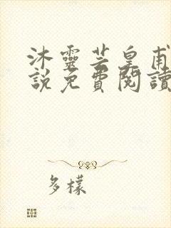 沐灵芸皇甫霆小说免费阅读