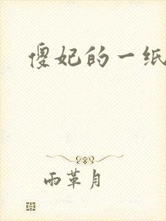 傻妃的一纸休书