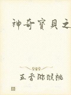 神奇宝贝之小洛