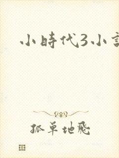 小时代3小说