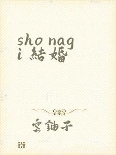 sho nagi 结婚