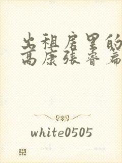 出租房里的交互高康张睿篇