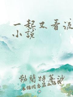 一起又看流星雨小说