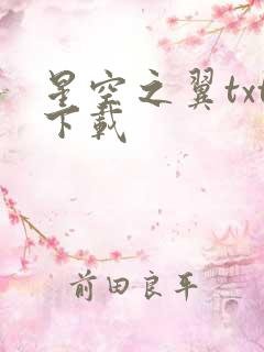 星空之翼txt下载