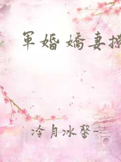 军婚 娇妻撩人