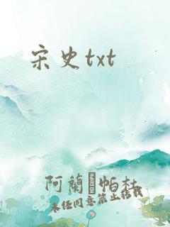 宋史txt