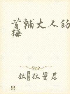 首辅大人的小青梅