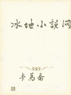 冰地小说网