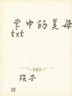 掌中的美母版主txt