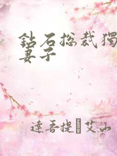 钻石总裁独宠小妻子