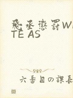 飞丞惩罚WRITE AS