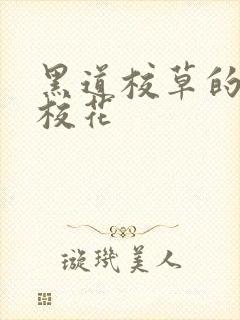 黑道校草的黑道校花