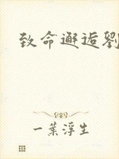 致命邂逅刘小寐