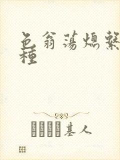 色翁荡熄系列借种