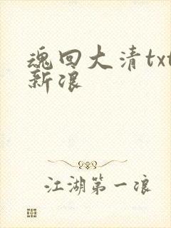 魂回大清txt新浪