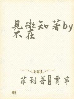 见微知著by音不在