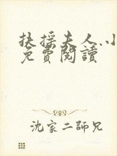 扶摇夫人.小说免费阅读