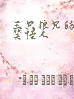 三只狼兄的宠妻笑佳人