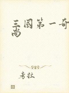 三国第一奇兵袁尚