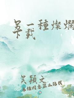 另一种灿烂生活下载